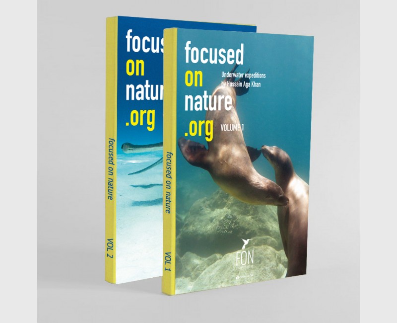 FOCUSED ON NATURE .ORG