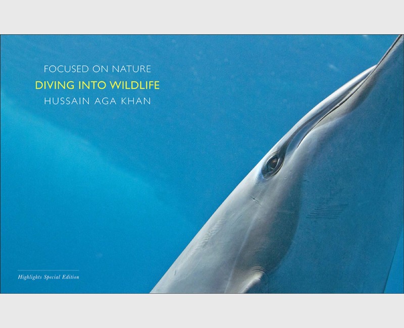 DIVING INTO WILDLIFE
