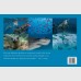 DIVING INTO WILDLIFE