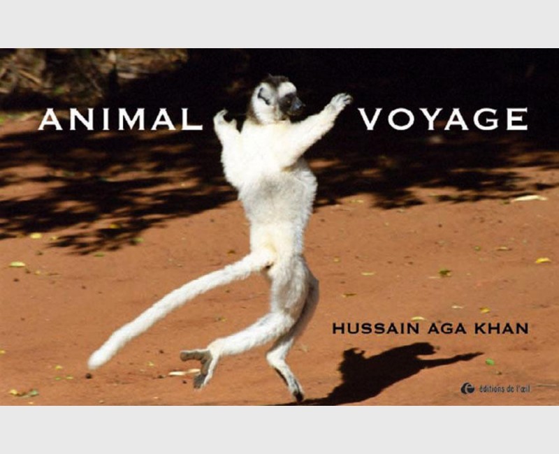 ANIMAL VOYAGE