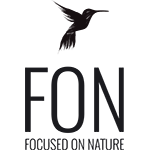 Focused On Nature